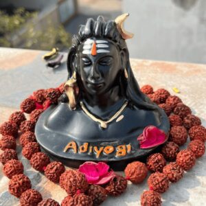 Adiyogi with rudraksh