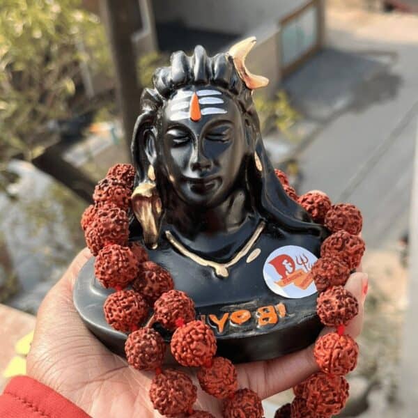 Adiyogi with rudraksh