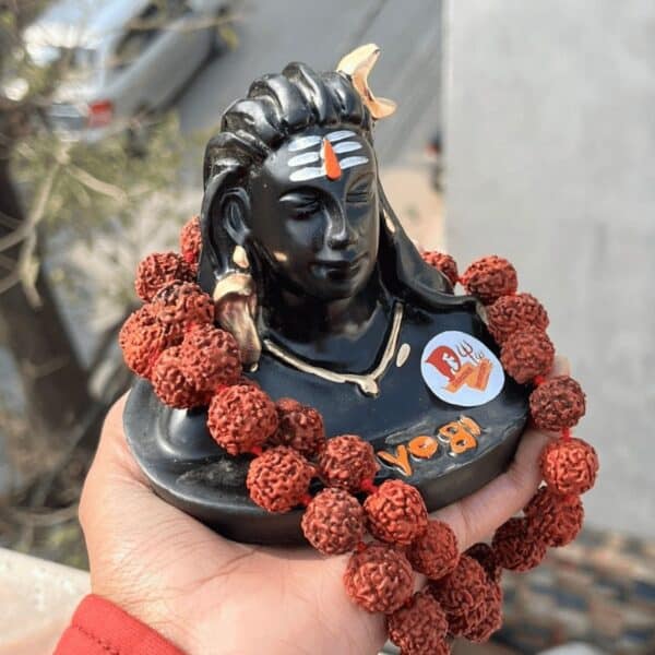 Adiyogi with rudraksh