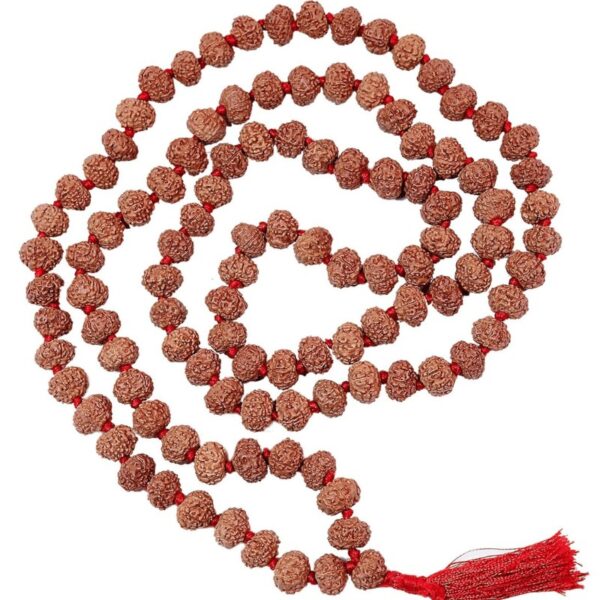 rudraksh mala