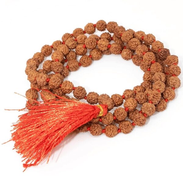 rudraksh mala