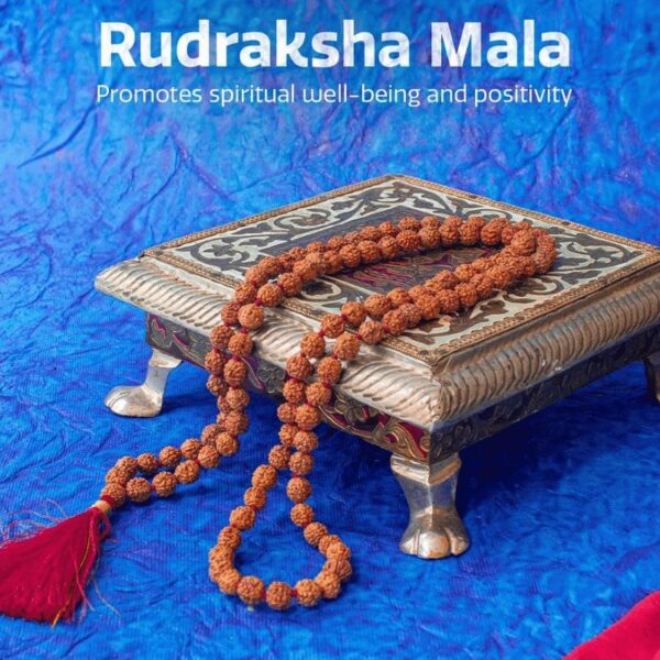 rudraksh mala