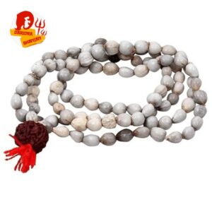 Vaijanti Mala