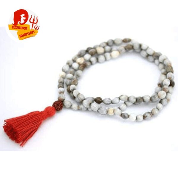 Vaijanti Mala