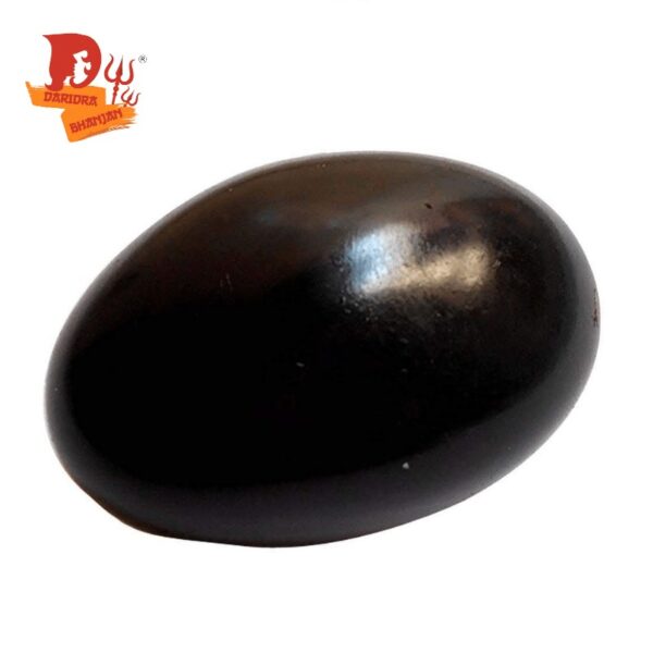 shaligram stone