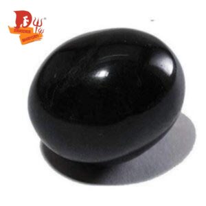 shaligram stone