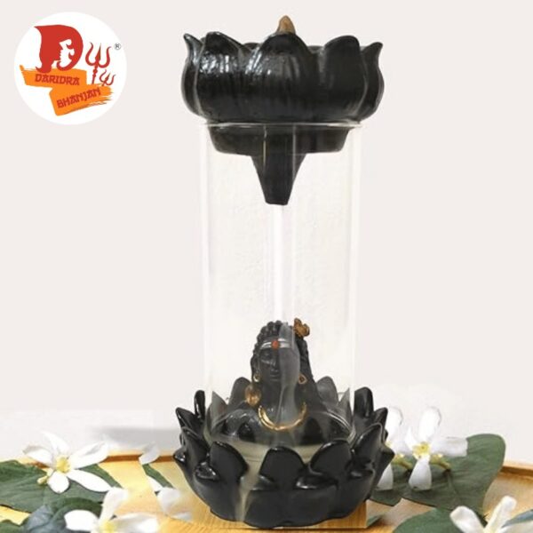 smoke Glass Adiyogi