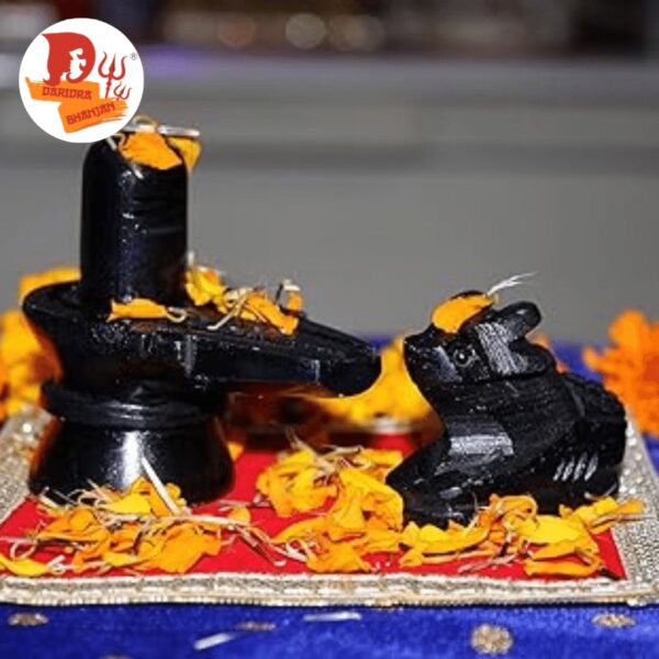 Black Shivling Nandi