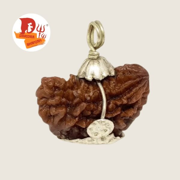 1 mukhi rudraksh