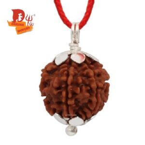 4 mukhi rudraksh.