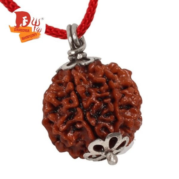 6 mukhi rudraksh