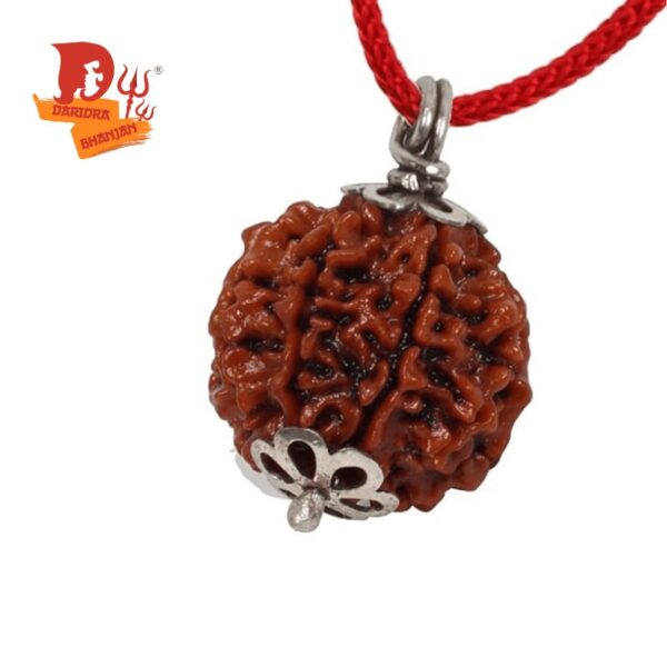 7 mukhi rudraksh