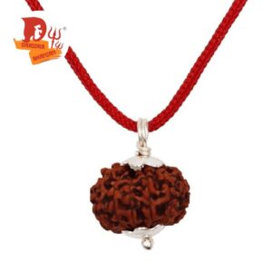 8 mukhi rudraksh