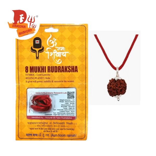 8 mukhi rudraksh