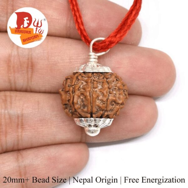 9 Mukhi Rudraksha